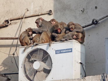 5 Things You Should Never Do To Your Air Conditioner